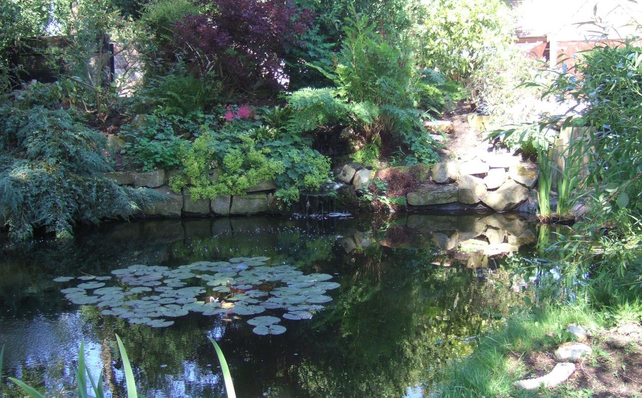 Bed and Breakfast Lime Trees Farm Bicester Exterior foto